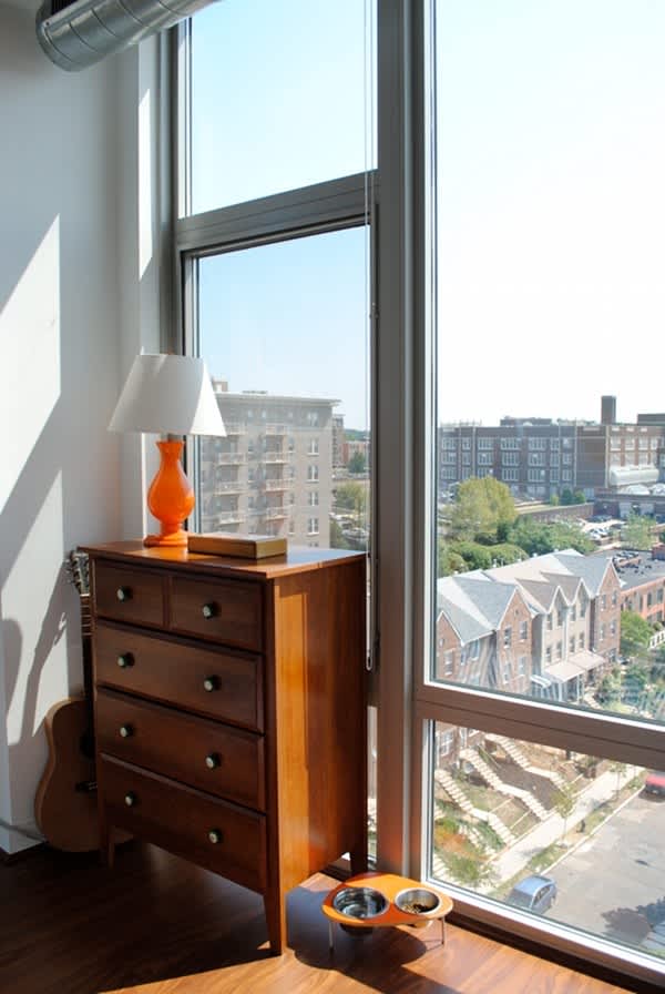 Kyle & Erin’s U Street One Bedroom with a View Apartment Therapy